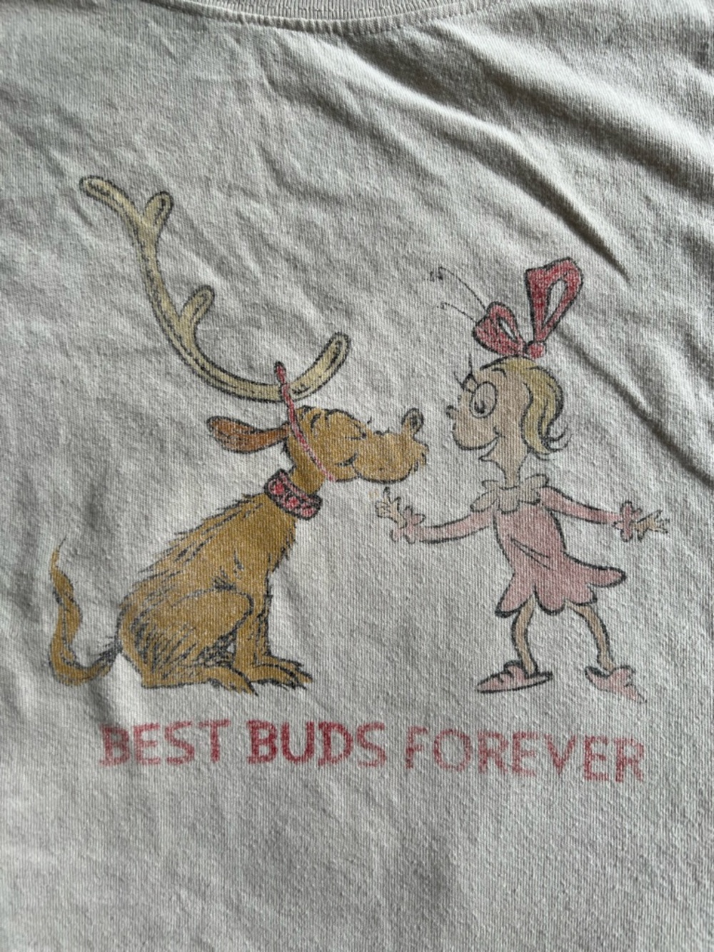 American Eagle "Best Buds Forever" Grinch Oversized Sleep Shirt